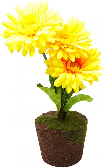Arranjo de flores