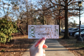 Voucher de um passeio na cidade visitada