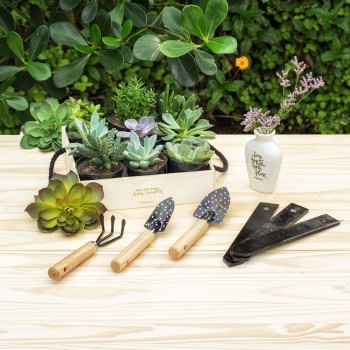 Kit de jardinagem