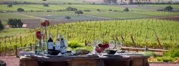 Viagem para vinícolas