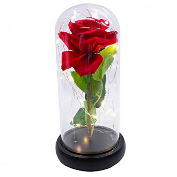 Rosa encantada