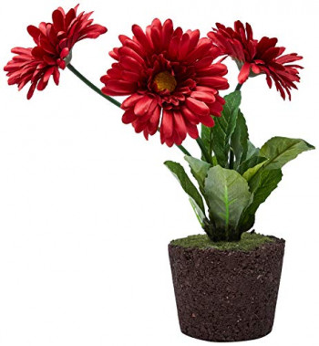 Arranjo de flores