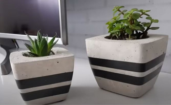 Vasos de planta