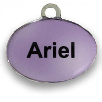 Placa de identificação