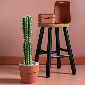 Vaso auto irrigável