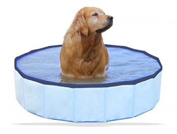 Piscina para cachorro