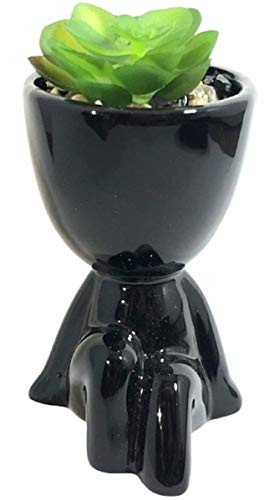 Vaso