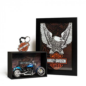 Miniaturas de moto