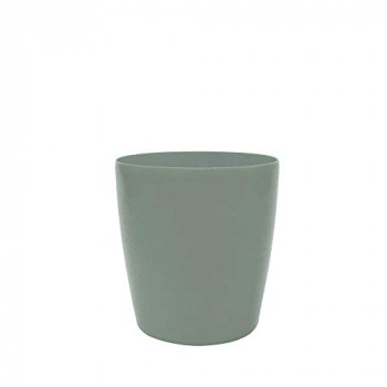 Vaso comum
