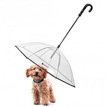 Coleira com guarda-chuva