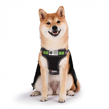 Roupas para pet