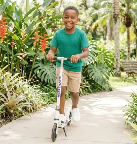 Patinete dobrável com freio