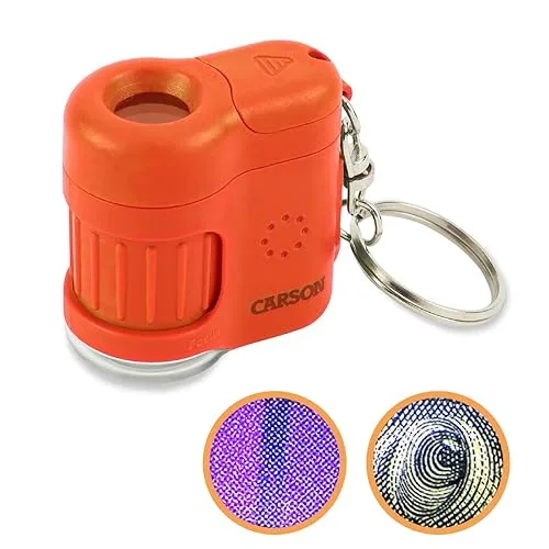 Microscópio de bolso