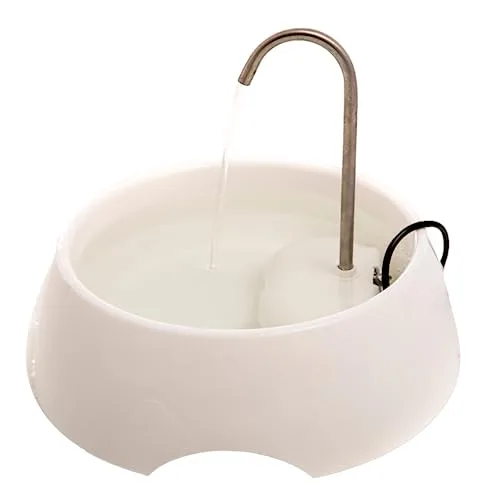 Fonte de água para gatos
