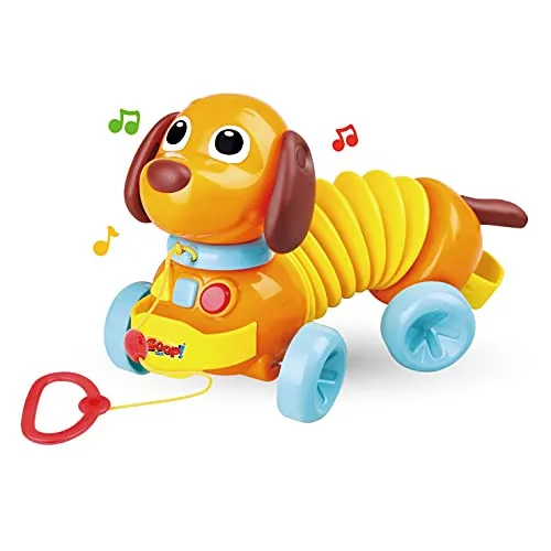 Cachorrinho sanfona