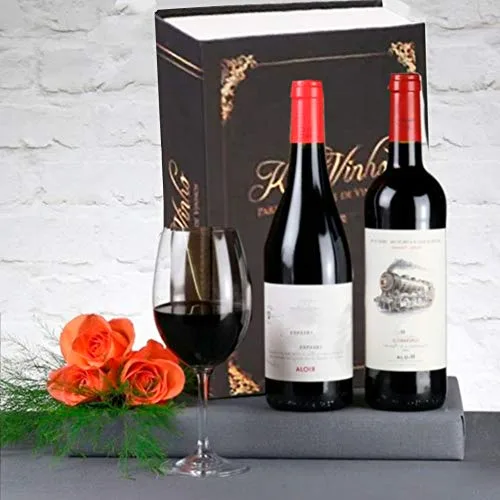 Kit de acessórios para vinho - foto 9