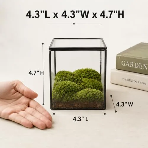 Terrário de vidro geométrico - foto 2