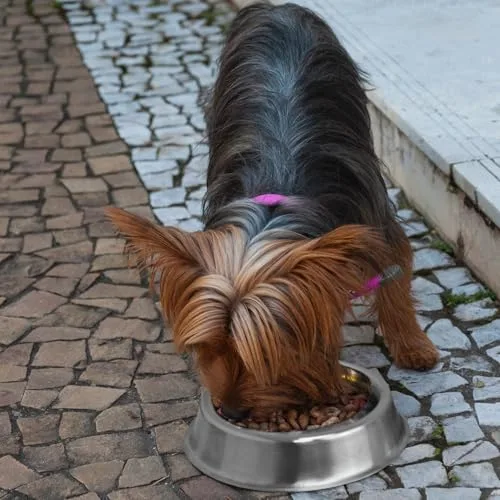 Comedouro de inox com anel antiformiga - foto 2