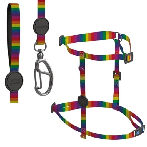 Peitoral com guia para passear