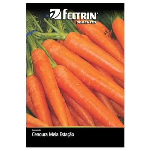 Kit de sementes para horta - foto 2