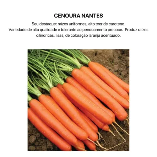 Kit de sementes para horta - foto 3