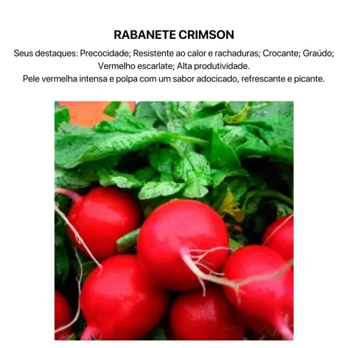Kit de sementes para horta - foto 5