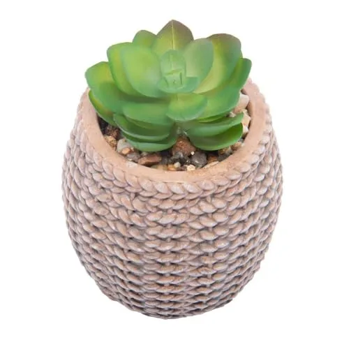 Mini cachepot com suculenta decorativa