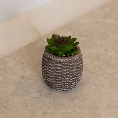 Mini cachepot com suculenta decorativa - foto 2