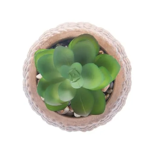Mini cachepot com suculenta decorativa - foto 3
