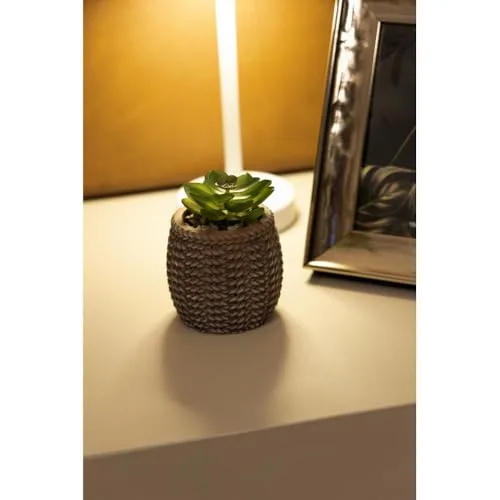 Mini cachepot com suculenta decorativa - foto 4