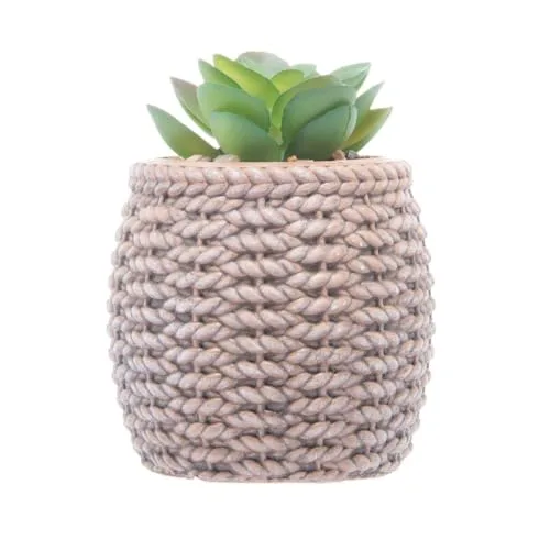 Mini cachepot com suculenta decorativa - foto 5