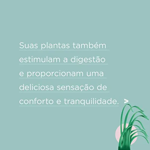 Kit de chás orgânicos com 45 sachês - foto 6