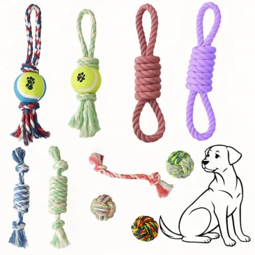 Kit de brinquedos variados para cães