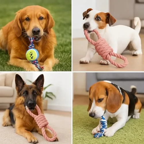 Kit de brinquedos variados para cães - foto 3