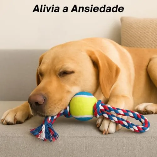 Kit de brinquedos variados para cães - foto 4