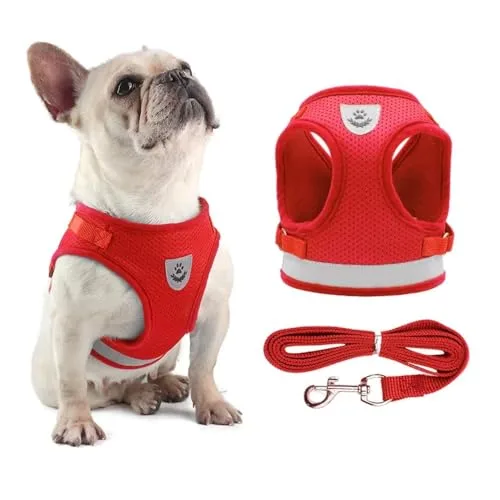 Kit de peitoral com guia