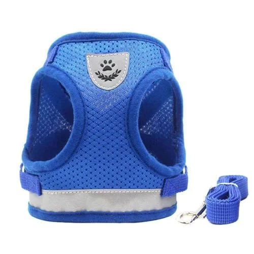 Kit de peitoral com guia