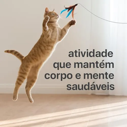 Kit interativo com túnel e brinquedos - foto 6