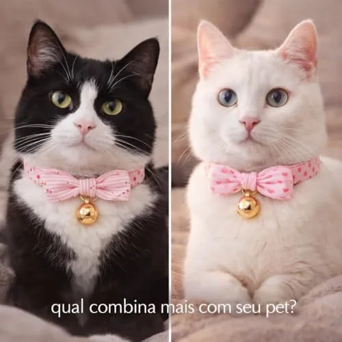 Kit de coleiras com guizo - foto 4