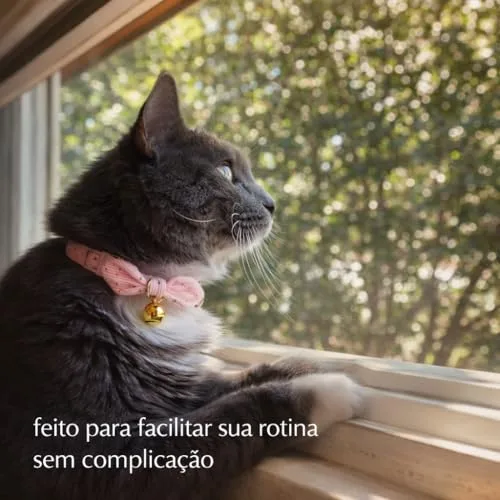 Kit de coleiras com guizo - foto 5